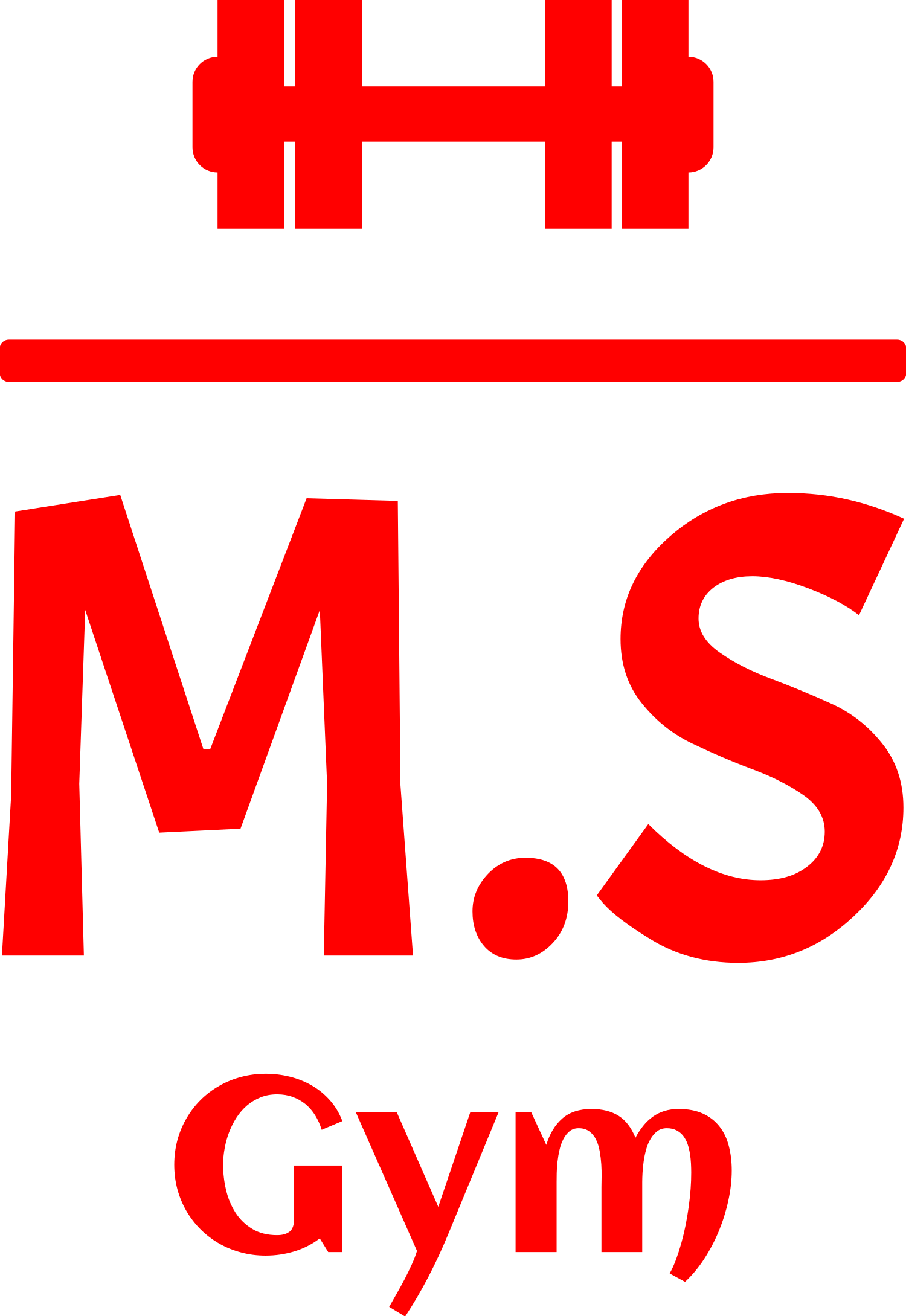 MS-Logo